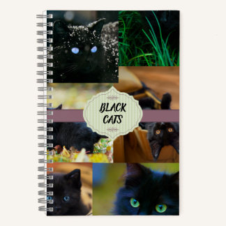 Black Cats Notebook