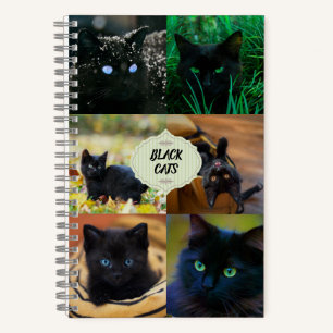 Black Cats Notebook