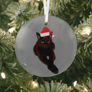 Black Cat's Photo Cutout with Santa Hat Gray Glass Ornament
