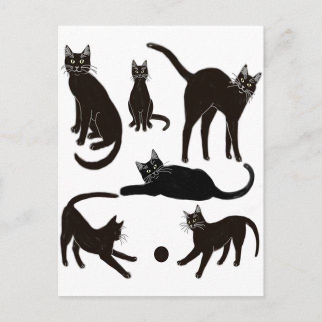 Black Cats Postcard (Front)