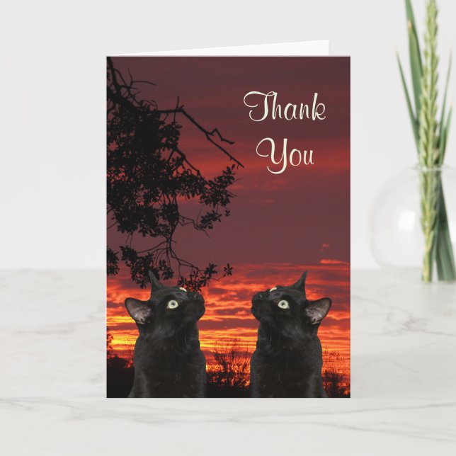 Black Cats Red Sunset Carte de remerciements (Devant)