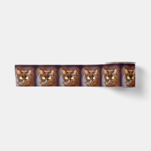 black cats satin ribbon