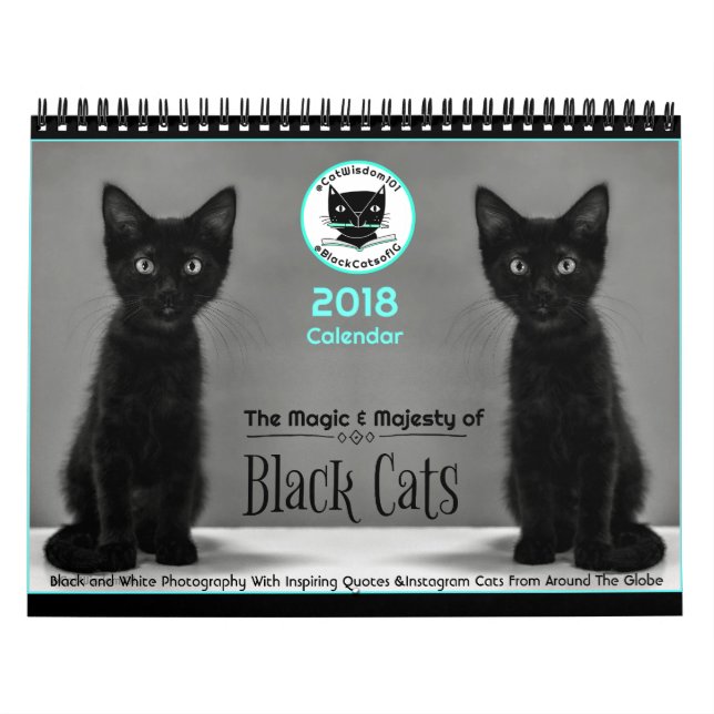 Black Cats Tell All  2018 Calendar (Cover)