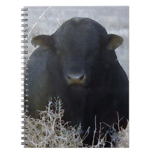 Black Cattle Bull Notebook