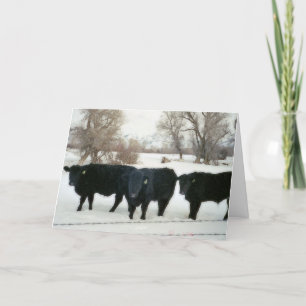 Black Cattle in Snow Thank You Card