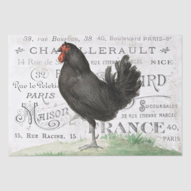 Black Chicken Hen French City Name Paris Decoupage Tissue Paper (Front)