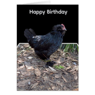 Black Chicken Pop Out Art, Birthday Card