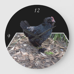 Black Chicken Pop Out,_Large Round Wall Clock
