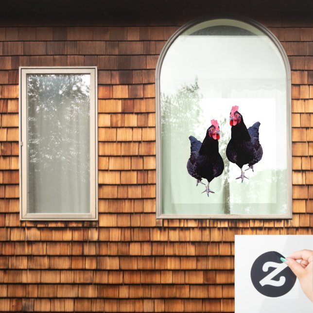 Black Chickens Strut, Window Cling (Home Window)