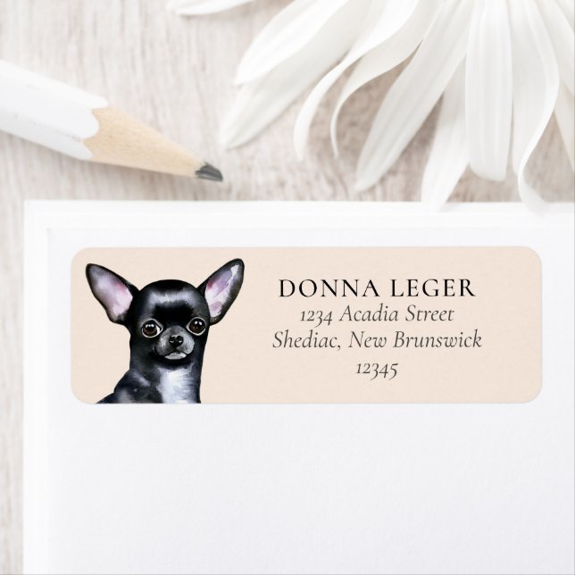 Black Chihuahua Dog Personalized Address (Insitu)