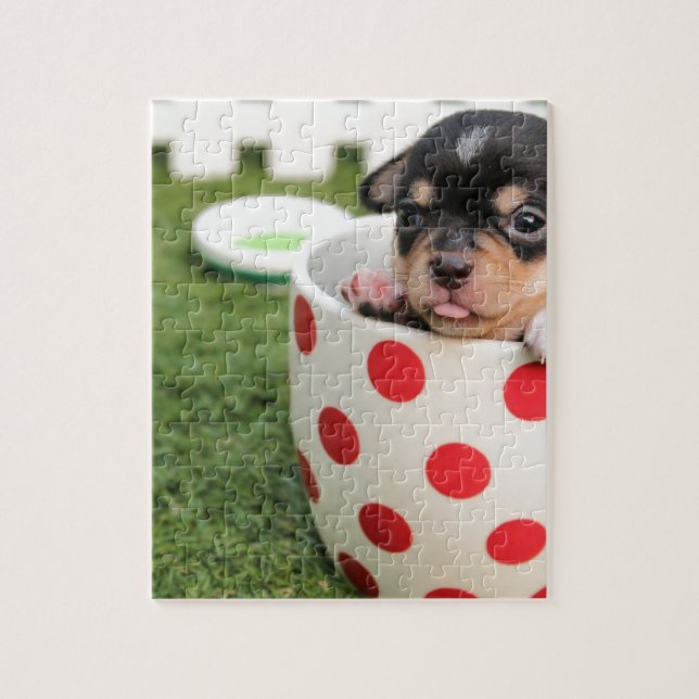 Black chihuahua puppy in a red spotty cup jigsaw puzzle (Vertical)