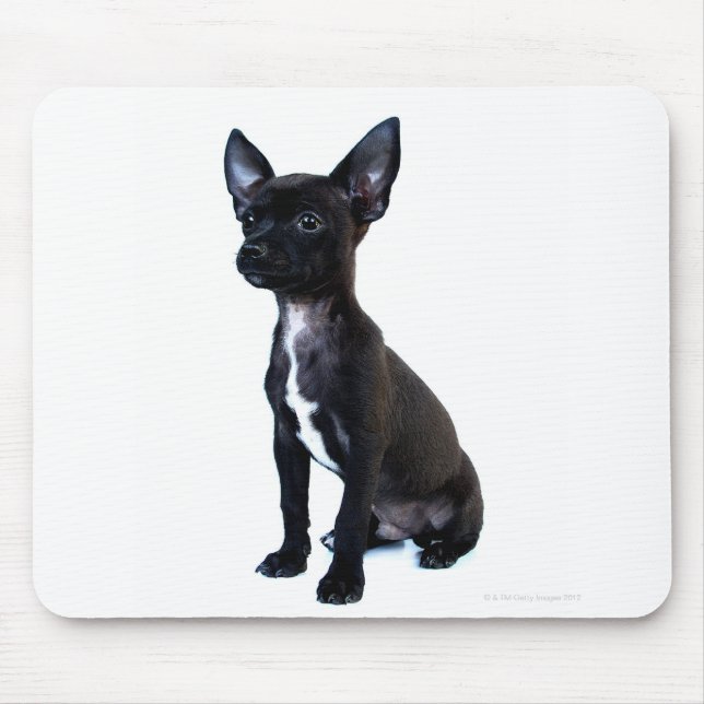 Black Chihuahua puppy Mouse Pad (Front)