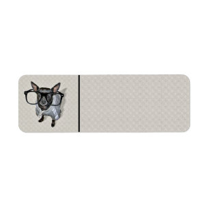 Black Chihuahua with Glasses Photo