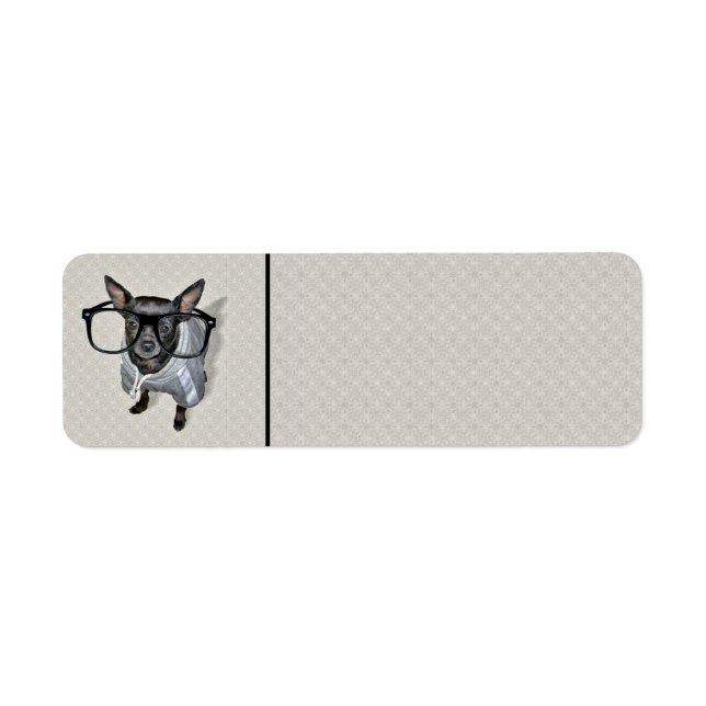 Black Chihuahua with Glasses Photo (Front)