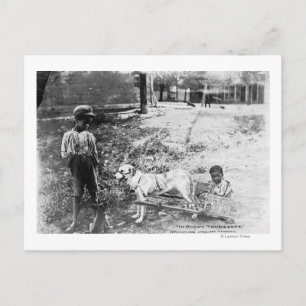 Black Children with Dog Drawn Cart Photograph Postcard