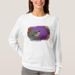 Black-chinned Humingbird, Archilochus alexandri, T-Shirt