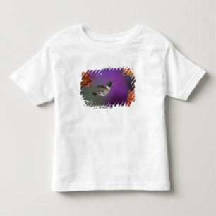 Black-chinned Humingbird, Archilochus alexandri, Toddler T-shirt