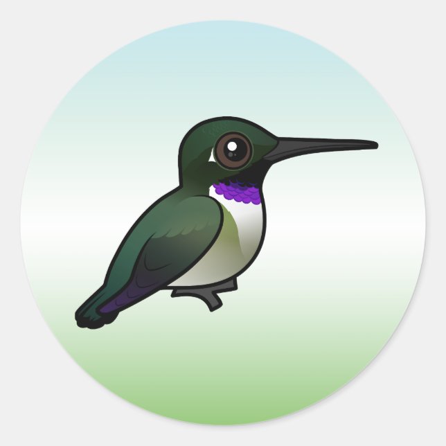 Black-chinned Hummingbird Classic Round Sticker (Front)