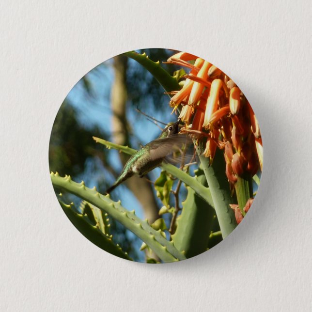Black-Chinned Hummingbird in Flight 2 Inch Round Button (Front)