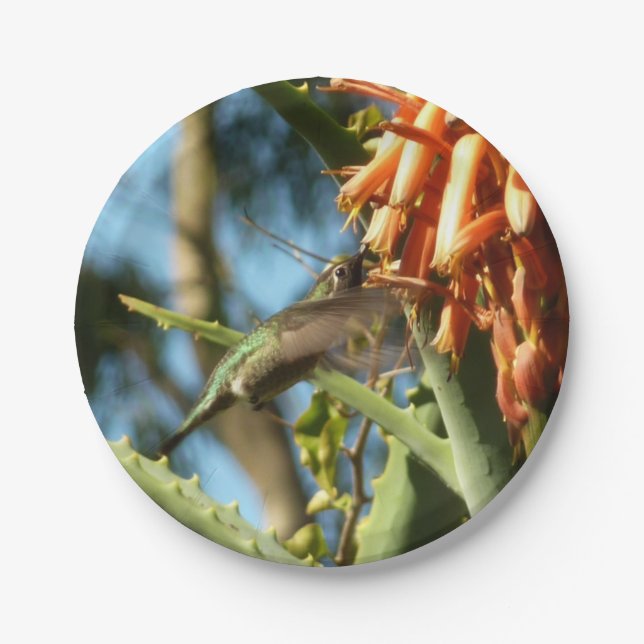 Black-Chinned Hummingbird in Flight Paper Plate (Front)