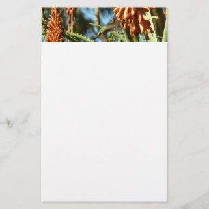 Black-Chinned Hummingbird in Flight Stationery