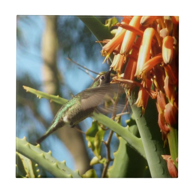Black-Chinned Hummingbird in Flight Tile (Front)