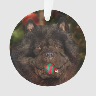 Black chow dog Christmas Ornament