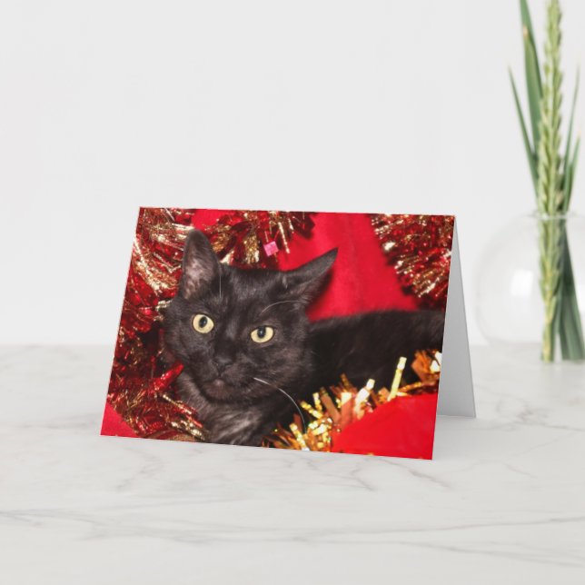 Black Christmas cat Holiday Card (Front)