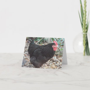 Black Cochin Chicken Photo Folded Note Card