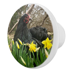 black cochin door cabinet handle pull yeti right