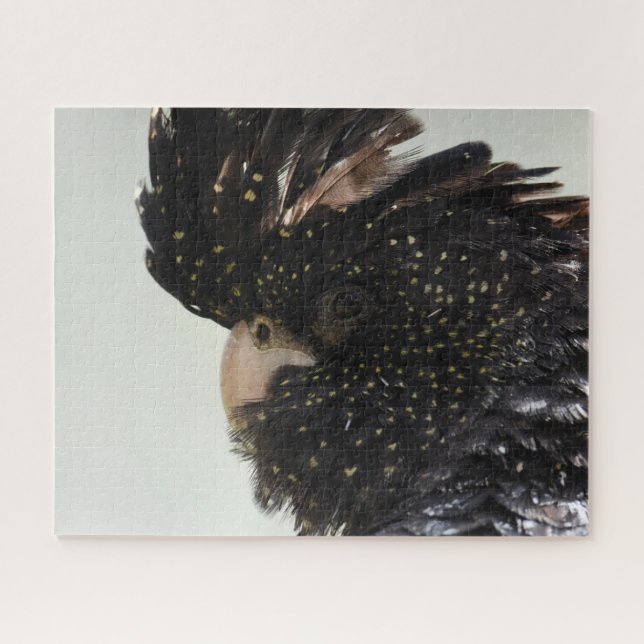 Black Cockatoo Jigsaw Puzzle (Horizontal)