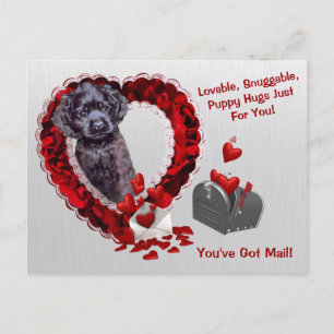 Black Cocker Spaniel #2 You've Got Mail Puppy Hugs Holiday Postcard