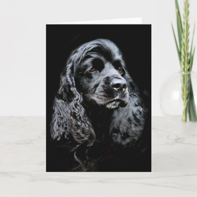 Black Cocker Spaniel Card (Front)