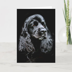 Black Cocker Spaniel Card