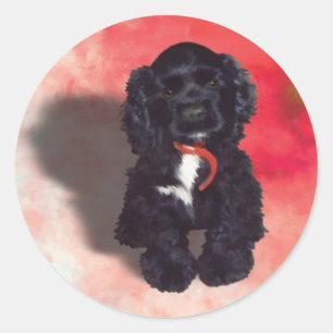 Black Cocker Spaniel Puppy - Abby Classic Round Sticker