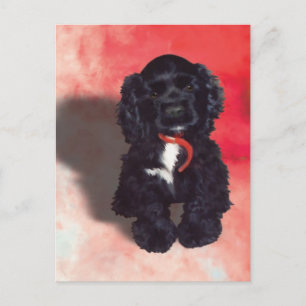 Black Cocker Spaniel Puppy - Abby Postcard