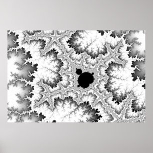 Black Coral Poster