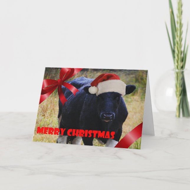 Black Cow Christmas Card (Front)