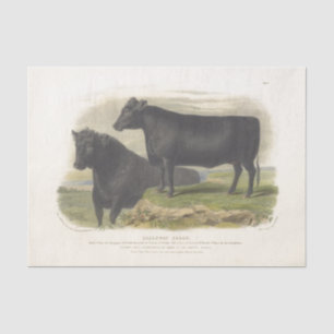 Black Cow Ephemera Decoupage Vintage Farm Tissue Paper