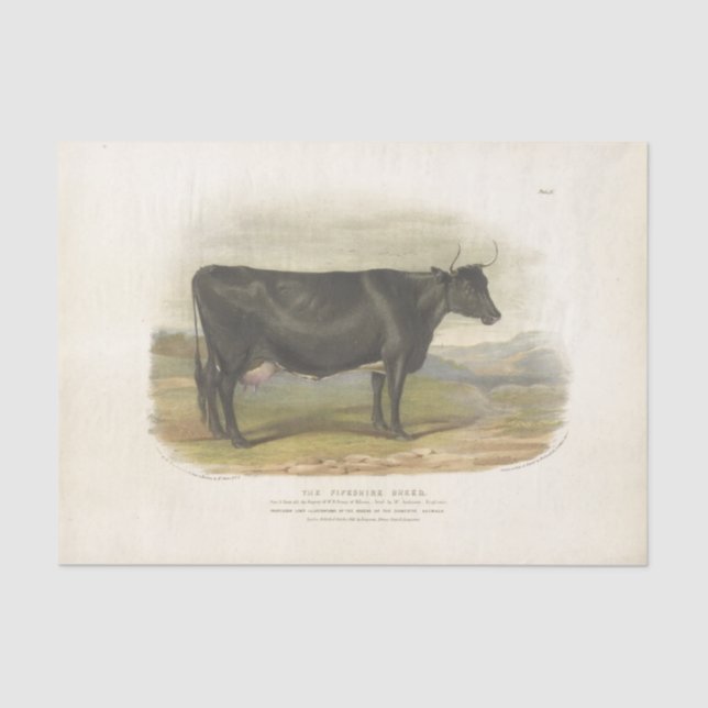 Black Cow Ephemera Decoupage Vintage Farm Tissue Paper (Front)