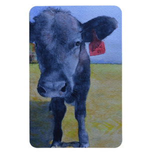 Black Cow Flex Magnet