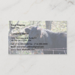 Black Cow Looking Out Of Fence Business Card