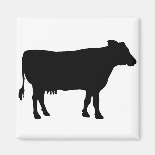 Black Cow Magnet (Front)
