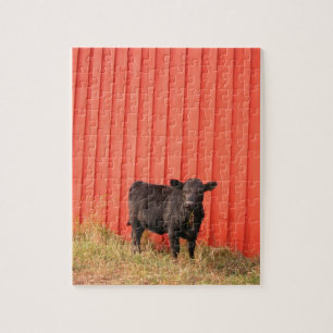 Black Cow Red Barn Jigsaw Puzzle