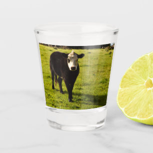 Black Cow With White Face And Mohawk, Shot Glass