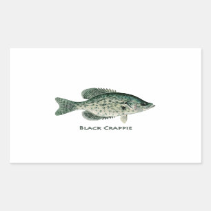 Black Crappie Sticker