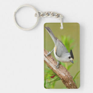 Black-Crested Titmouse Keychain