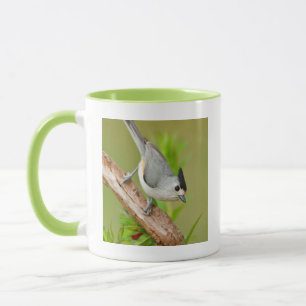 Black-Crested Titmouse Mug
