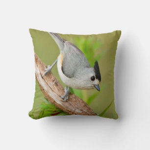 Black-Crested Titmouse Throw Pillow