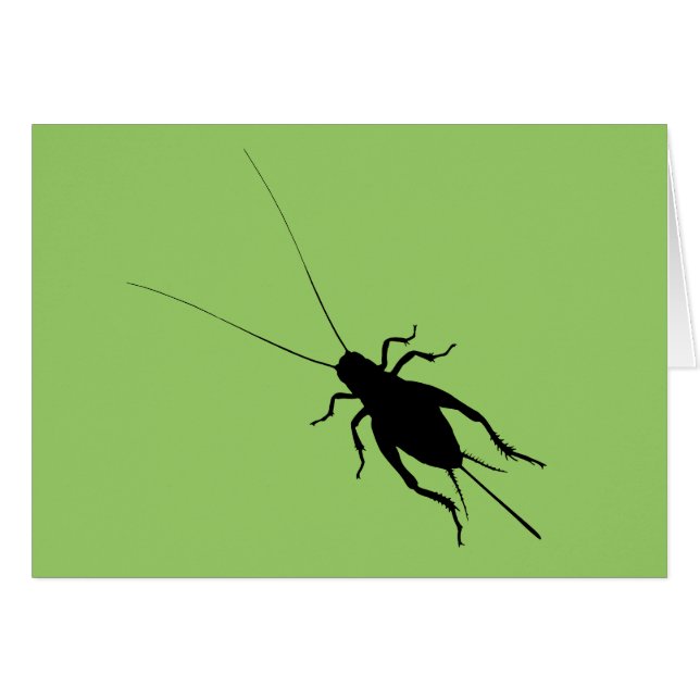 Black Cricket (Front Horizontal)
